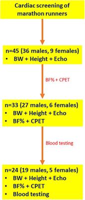 Exploring the Anthropometric, Cardiorespiratory, and Haematological Determinants of Marathon Performance